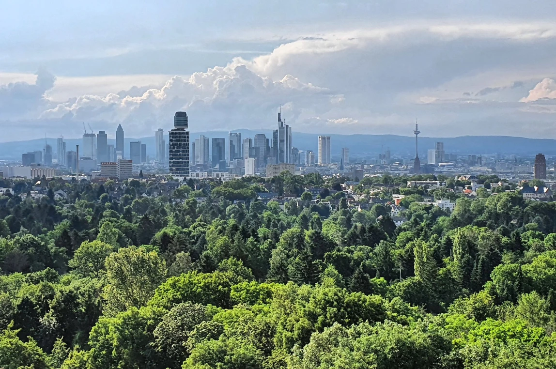 Blick auf die Frankfurter Skyline, im Vordergund ein üppig grüner Wald, im Hintergrund der Taunus