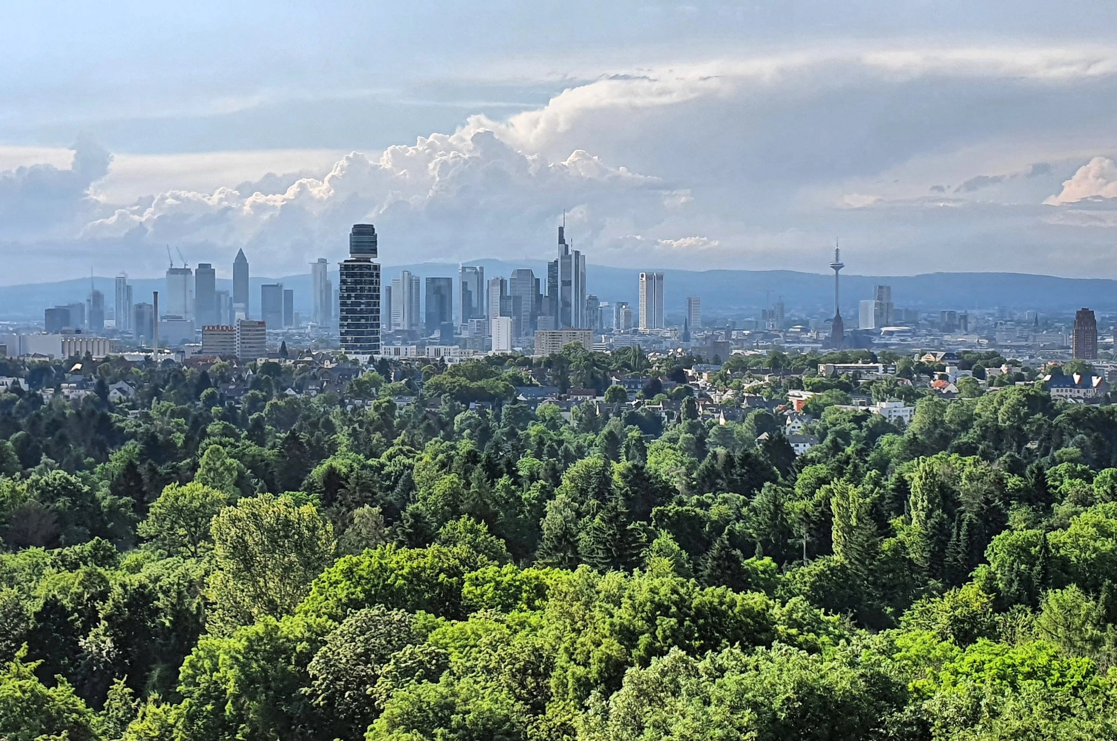 Blick auf die Frankfurter Skyline, im Vordergund ein üppig grüner Wald, im Hintergrund der Taunus